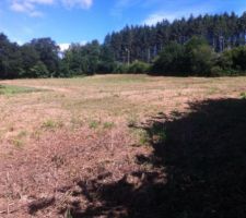 Vue du bas du terrain