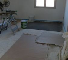 Pas eu le temps de finir la chambre d'amis o&ugrave; je voulais mettre les chats au calme donc nettoyage l&eacute;ger et on fera comme on pourra !