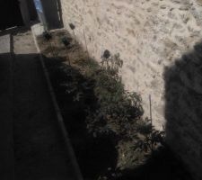 POTAGER