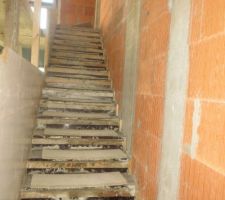 Escalier protégé