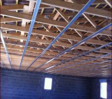 Rail pour le plafond