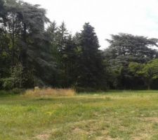 Vue du terrain lorsqu'on se trouve au bout du chemin d'acc&egrave;s