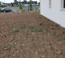 La terre est argileuse avec de gros silex, le jardinage va être dur!