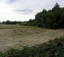 Il ne reste plus qu'&agrave; &eacute;laguer une partie de cette haie. Cela a &eacute;t&eacute; r&eacute;alis&eacute; les jours suivants.