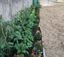 Le potager