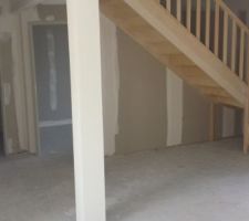 Vue cot&eacute; escalier ( sans placard dans l'entr&eacute;e)
