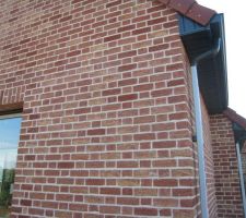 2 descentes de gouttières à l'arrière de la maison côté salon