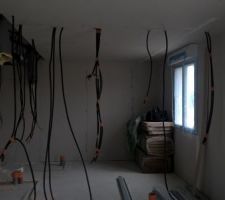 L?électricien est repassé ce jour et à rectifié la sortie des gaines de manière à pouvoir installer la cloison. Bien vu les chefs de MLM.