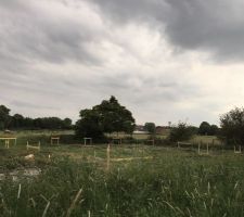 Arpentage de l'implantation de la maison