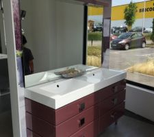 Meuble choisi Sdb enfants modèle Mona Lisa de chez decotec