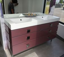 Meuble choisi Sdb enfants modèle Mona Lisa de chez decotec