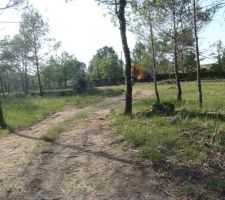 Route du lotissement