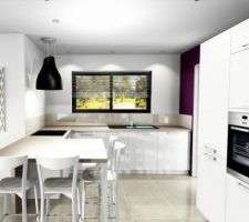 Projet cuisine vue int&eacute;rieure