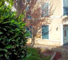 Etat des lieux jardin.