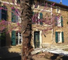 Etat des lieux jardin.