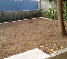 Préparation plantation gazon.