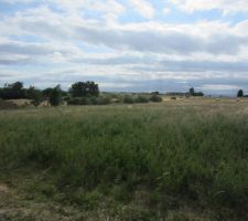 Vu depuis l'entr&eacute;e future du terrain.