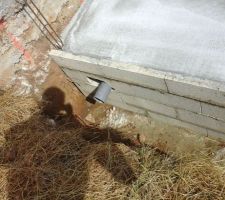 Photo du branchement eaux usées étage