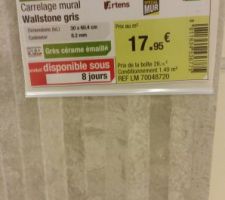 Choix des faïences de notre salle d'eau