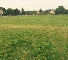Une partie du champs du lotissement rue des valeureux