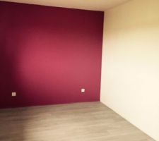 Future chambre de notre petite fille qui arrivera pour le mois de novembre, un bonheur de plus :)