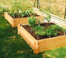 Petit Potager