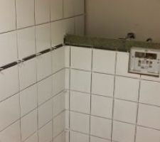 WC suspendu posé et début faïence.