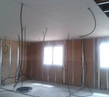 Le tas de terre de remblai qui reste sur le terrain :(