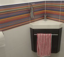 Pose des WC communs donc finition de l'accrochage des accessoires