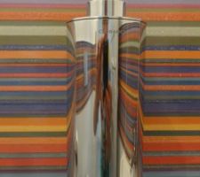 Pose des WC communs donc finition de l'accrochage des accessoires