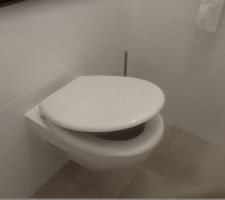 Pose des WC communs donc finition de l'accrochage des accessoires