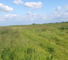 Terrain plat malgré l'impression que donne la prise de vue.