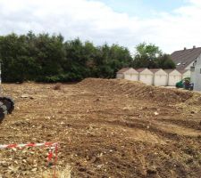Bornage des parcelles