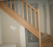 Escalier en bois exotique toilettes sous l'escalier