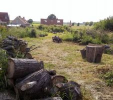 D&eacute;broussaillage d'une partie du terrain pour &eacute;vacuation des buches