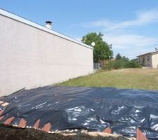 "étouffeur" des mauvaises herbes