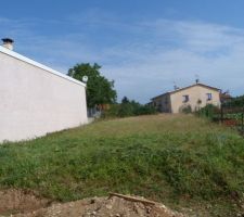 évolution des mauvaises herbes
