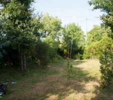 Le terrain avant de couper tous les arbres