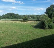 Le jardin devient magnifique, doucement mais surement