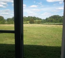 Le jardin devient magnifique, doucement mais surement