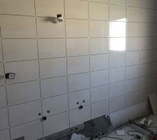 Salle de bain, commencement et pose du carrelage faÃ¯ence ,lin en 40/20
vos avis?