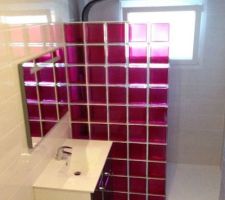 POSE DES PAVES DE VERRES DANS LA SDB