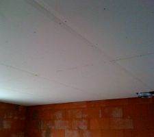 Plafond salon séjour