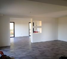 Peinture mat pi&egrave;ces de vie