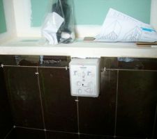 La faïence des WC de l'entrée, qui doit être refaite.