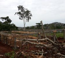 Poteaux et poutres RDC