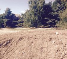 Bornage du terrain et viabilisation