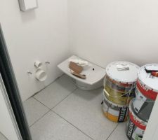 Carrelage WC   dégagement.