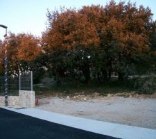 Terrain lors de l'achat