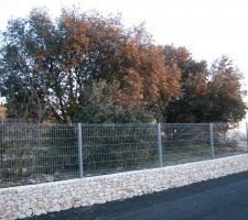 Terrain lors de l'achat